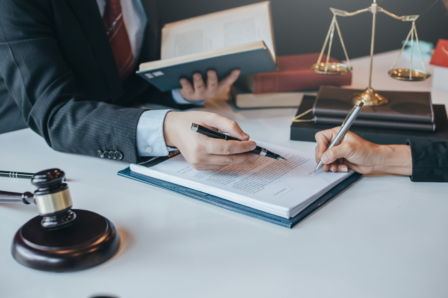 Litigation Service